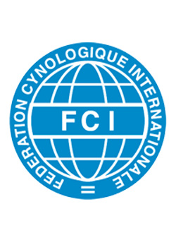 international_judge