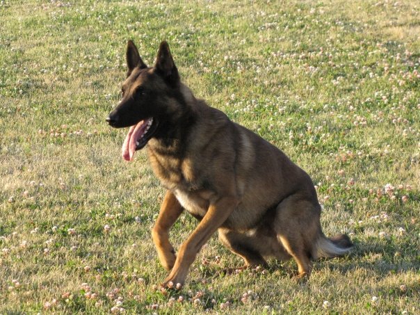 Aida-Flick-with-Bordeaux