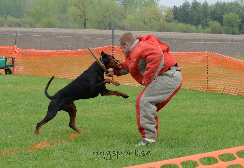 Aisin-Stick-2013-Nationals