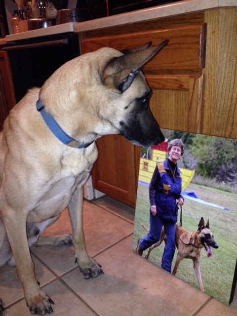 Ann-Putegnat-with-Burton-du-Loups-du-Soleil