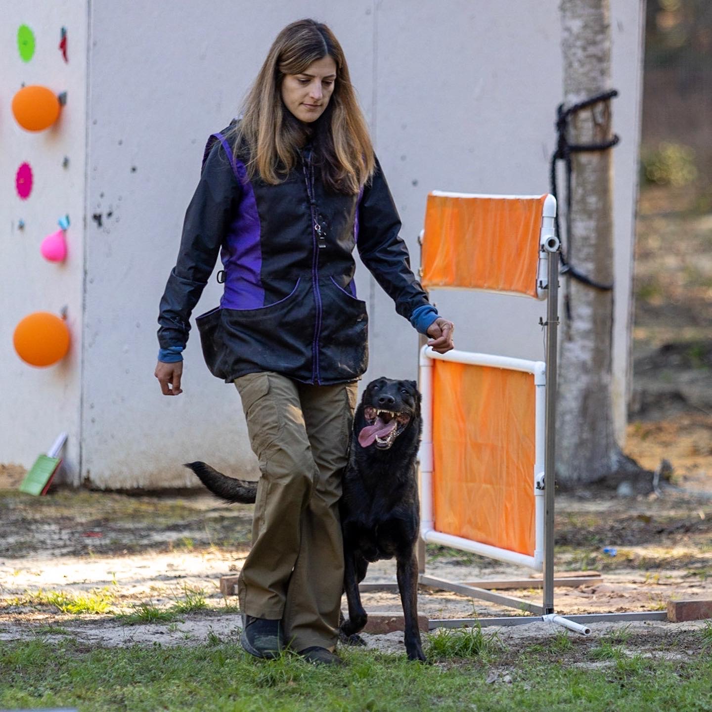 D8E83ED0-B59A-4549-8034-4ED6082585AE