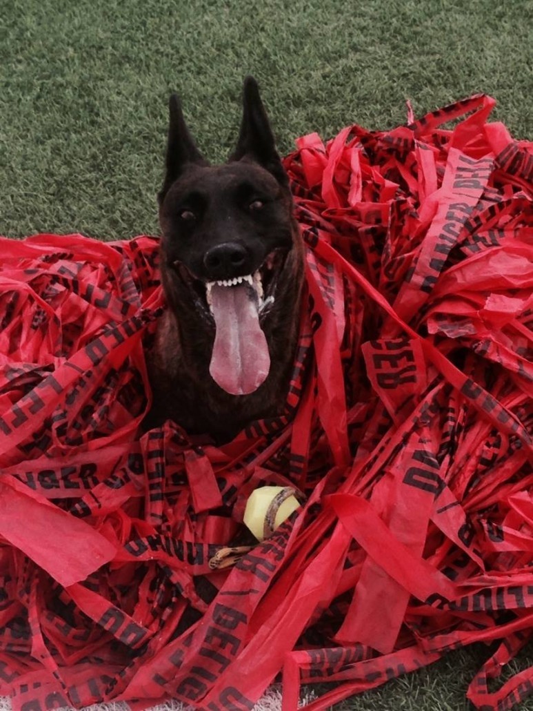 Robert-Wademan-with-Nay-Nay-773x1030