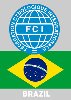 flag-brazil